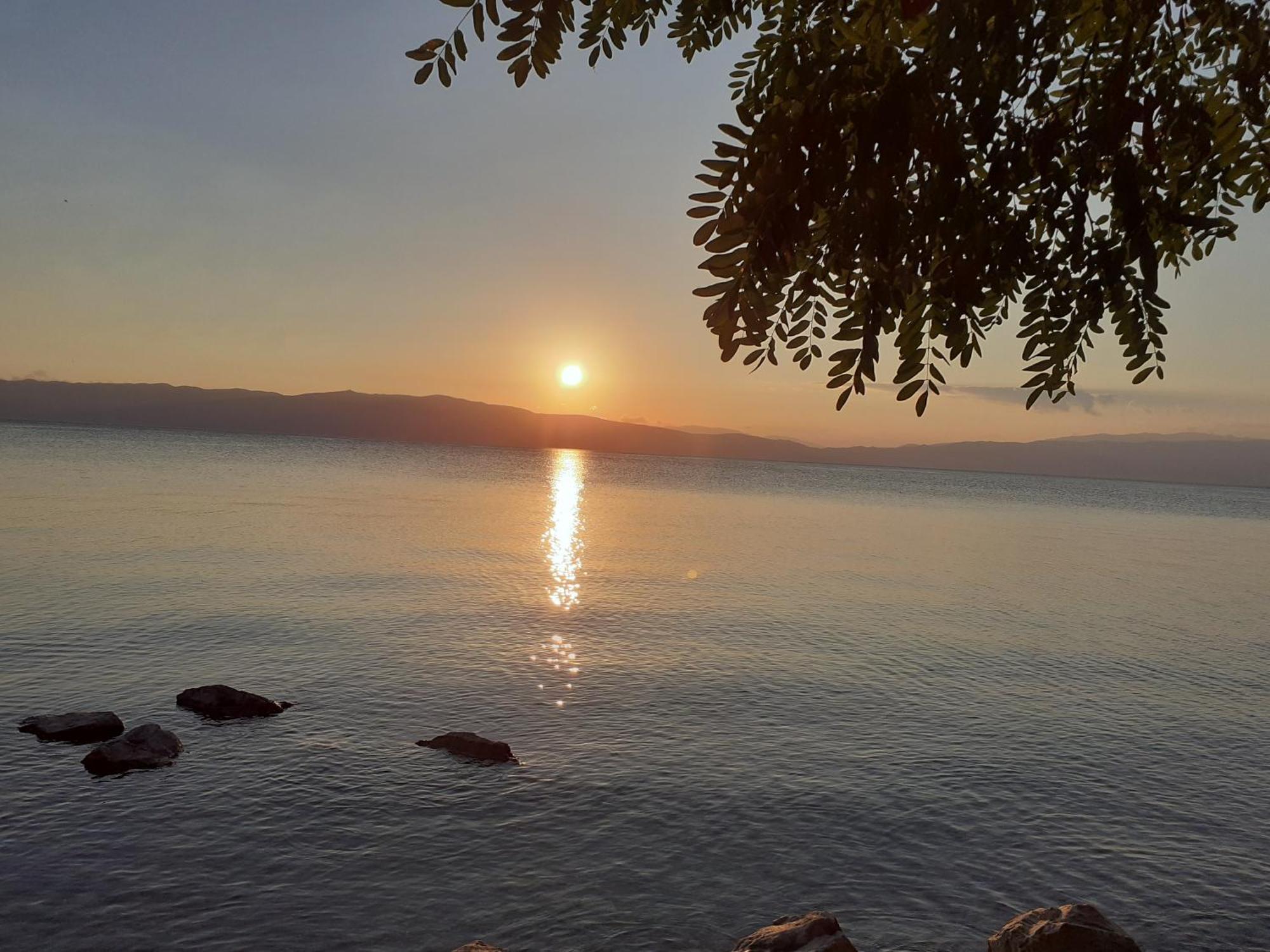 Guesthouse Zimovski Pestani Kültér fotó