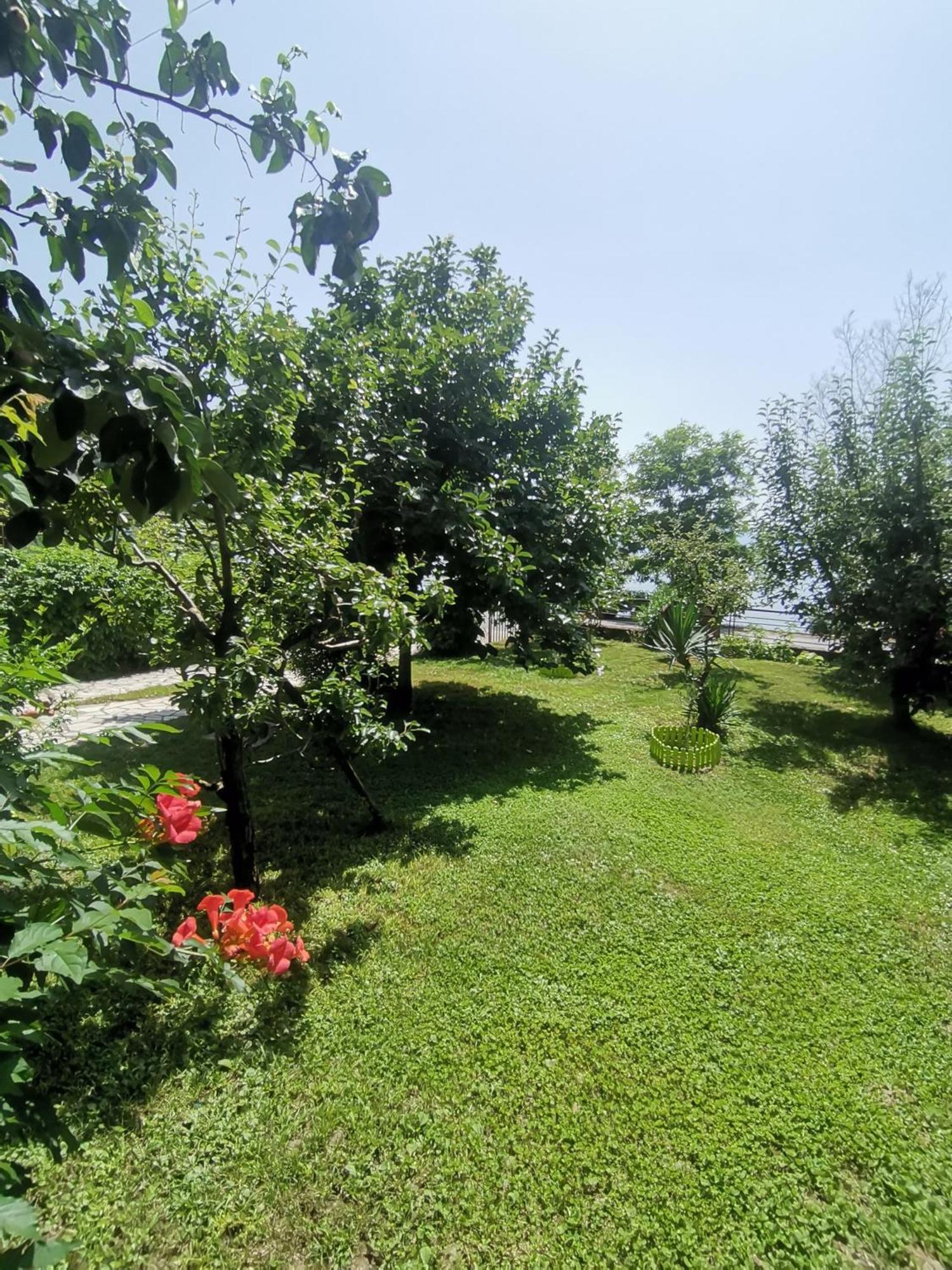 Guesthouse Zimovski Pestani Kültér fotó