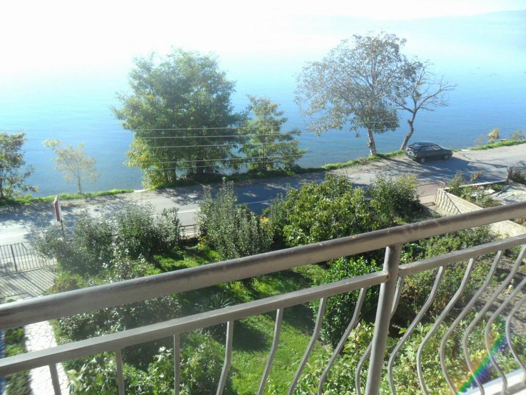 Guesthouse Zimovski Pestani Kültér fotó