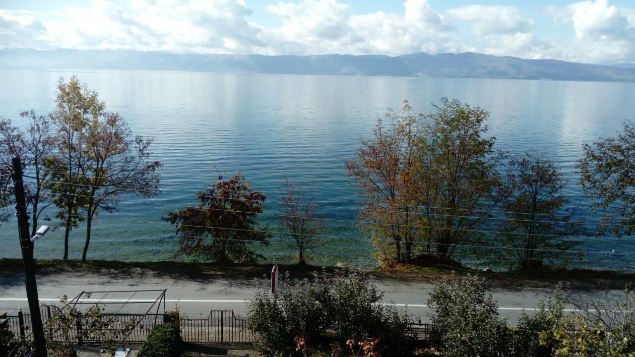 Guesthouse Zimovski Pestani Kültér fotó