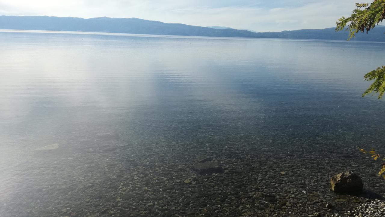 Guesthouse Zimovski Pestani Kültér fotó