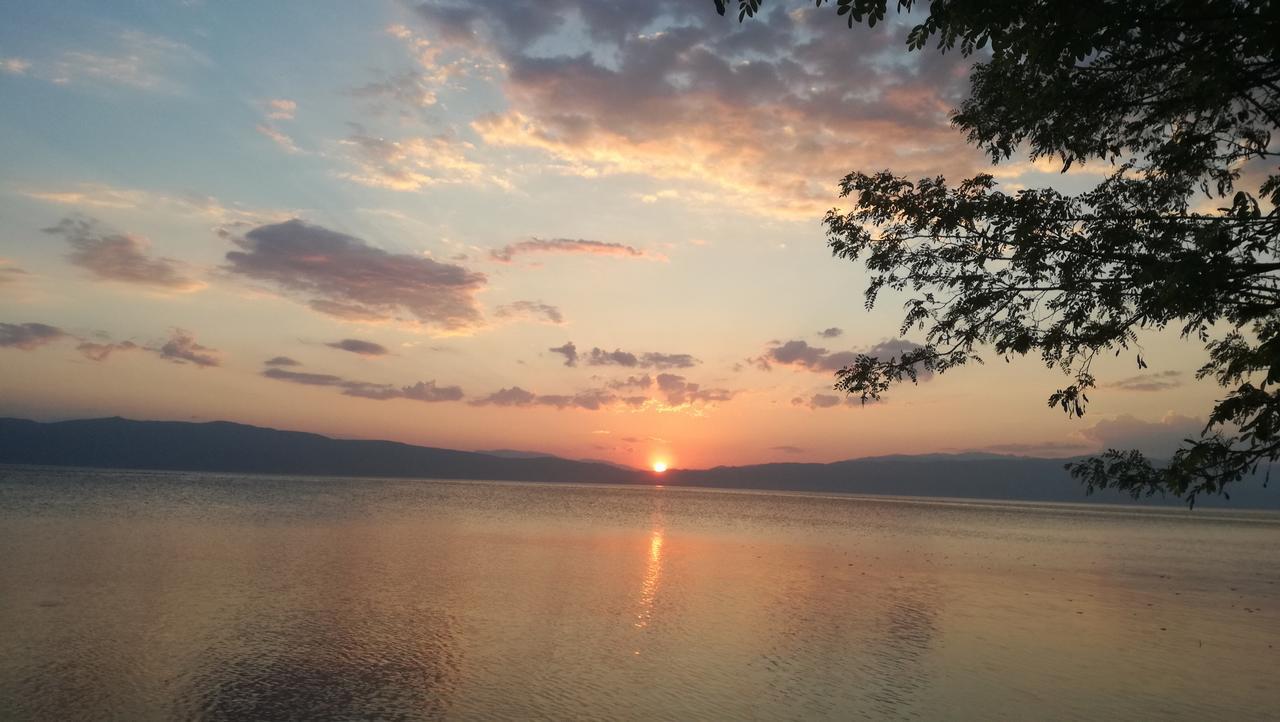 Guesthouse Zimovski Pestani Kültér fotó