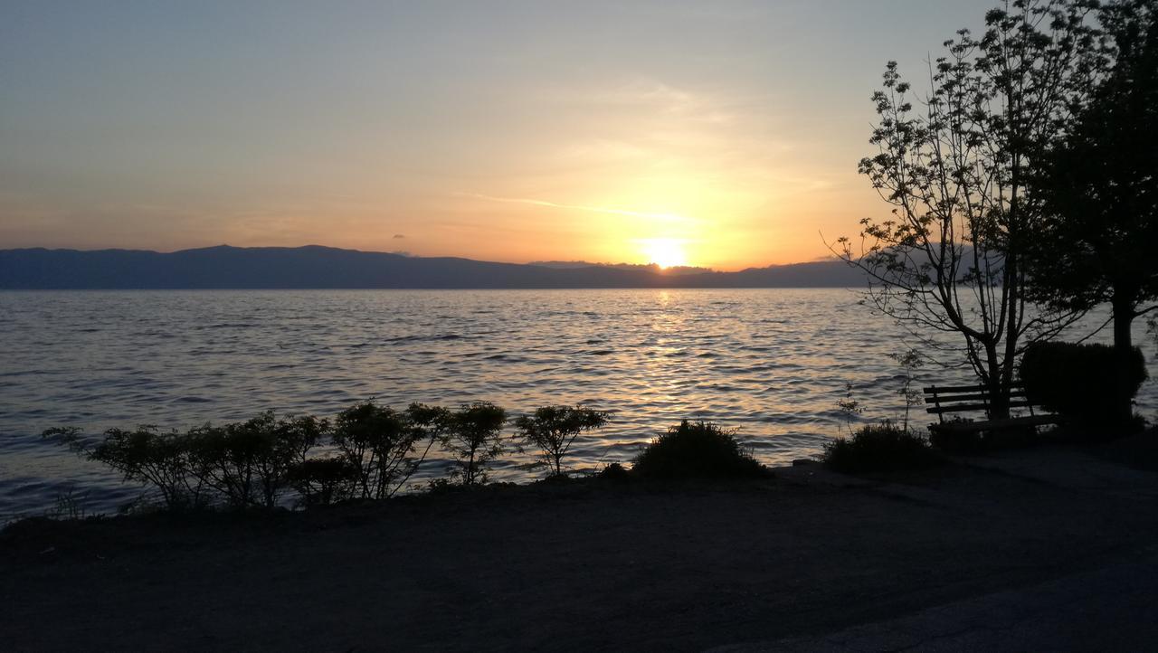 Guesthouse Zimovski Pestani Kültér fotó