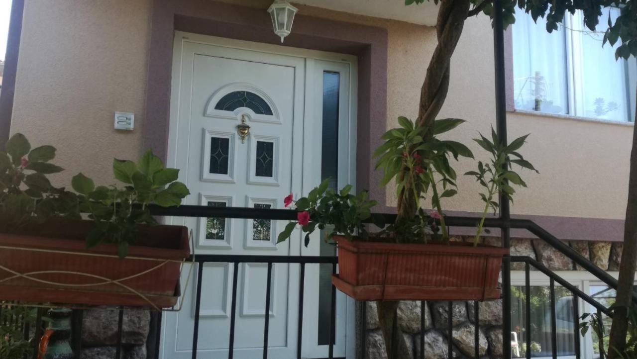 Guesthouse Zimovski Pestani Kültér fotó