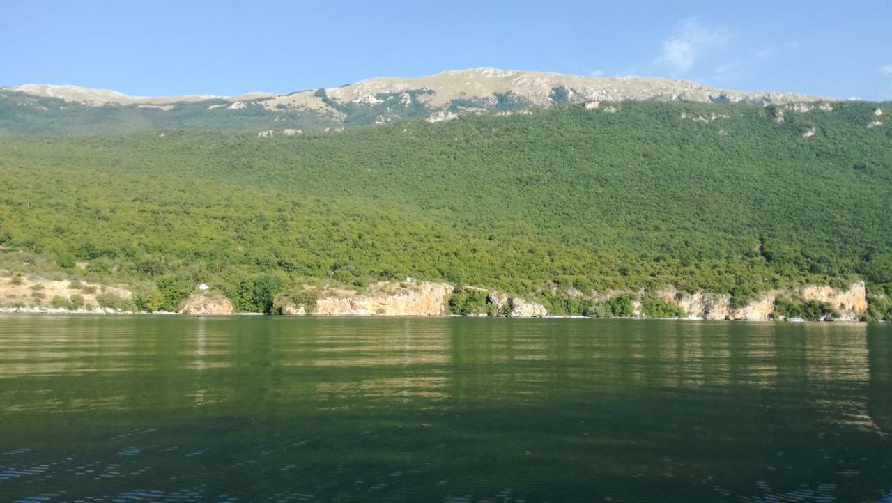 Guesthouse Zimovski Pestani Kültér fotó