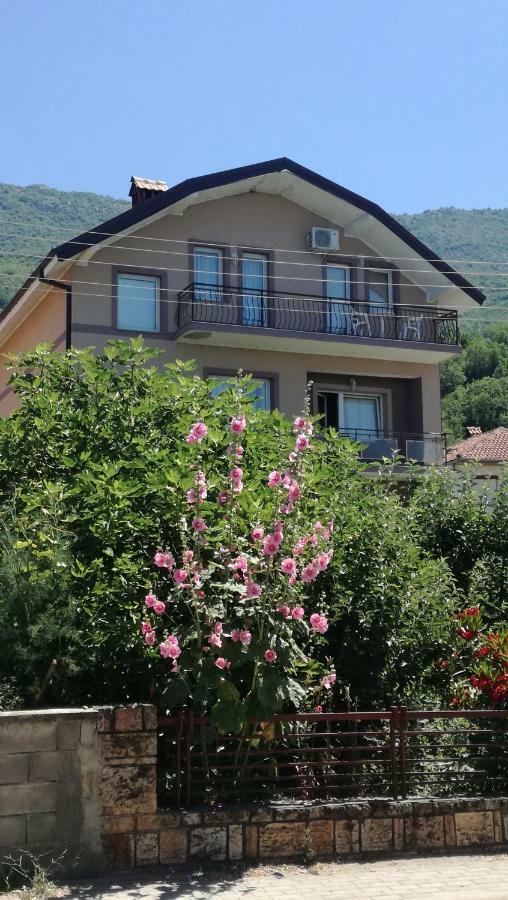 Guesthouse Zimovski Pestani Kültér fotó